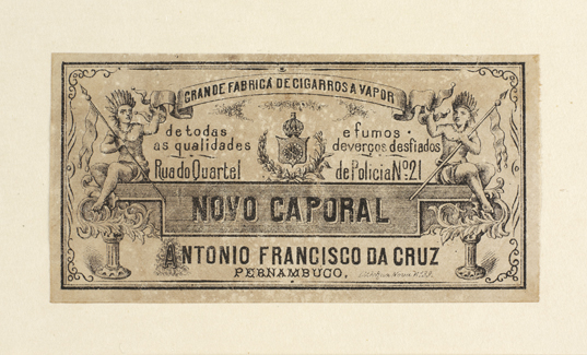 vizualizar o documento on line